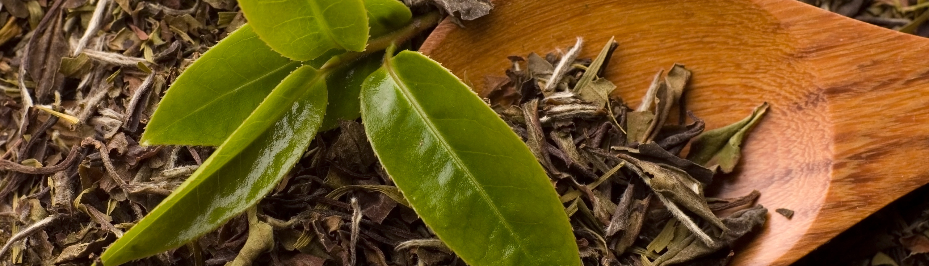 18����luck��(�й�)-�ٷ���վ