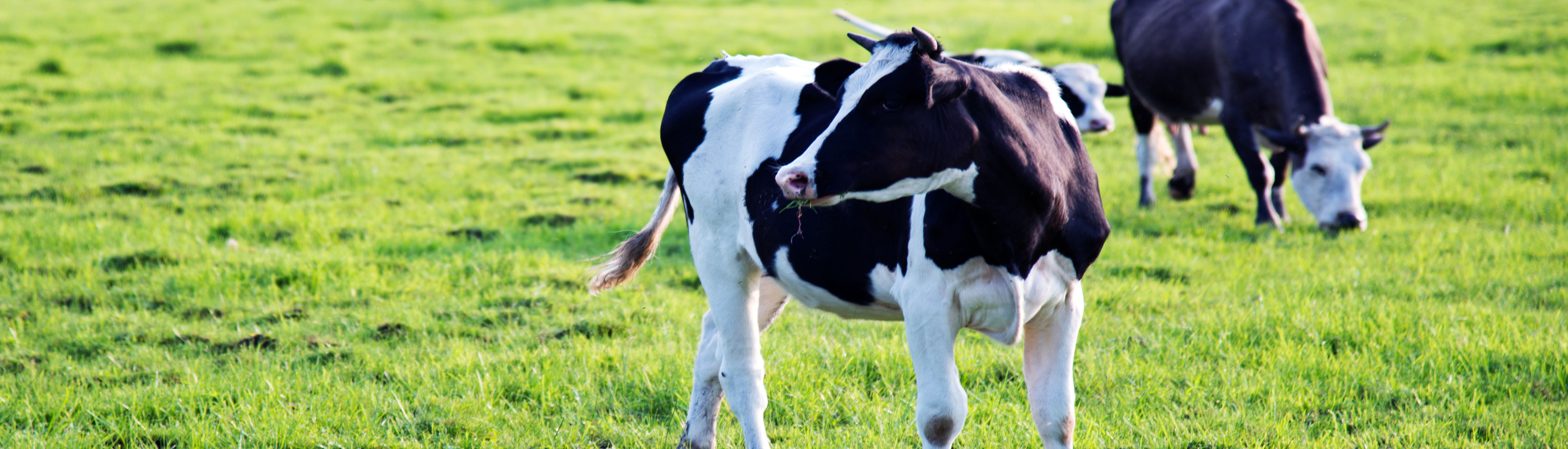 18����luck��(�й�)-�ٷ���վ